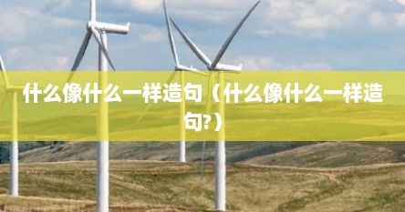 什么像什么一样造句（什么像什么一样造句?）