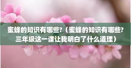 蜜蜂的知识有哪些?（蜜蜂的知识有哪些?三年级这一课让我明白了什么道理）