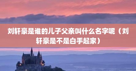 刘轩豪是谁的儿子父亲叫什么名字呢（刘轩豪是不是白手起家）