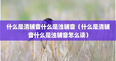什么是清辅音什么是浊辅音（什么是清辅音什么是浊辅音怎么读）