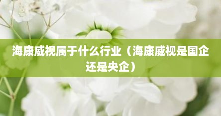 海康威视属于什么行业（海康威视是国企还是央企）
