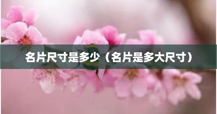 名片尺寸是多少（名片是多大尺寸）