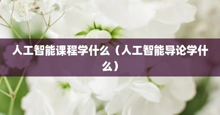 人工智能课程学什么（人工智能导论学什么）