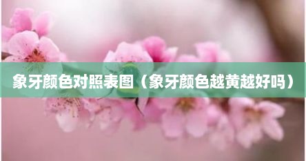 象牙颜色对照表图（象牙颜色越黄越好吗）