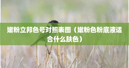 嫩粉立邦色号对照表图（嫩粉色粉底液适合什么肤色）