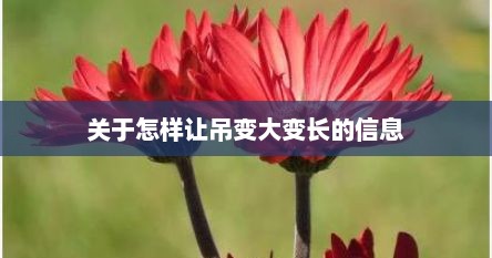 关于怎样让吊变大变长的信息