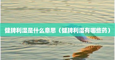 健脾利湿是什么意思（健脾利湿有哪些药）