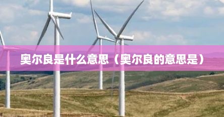 奥尔良是什么意思（奥尔良的意思是）