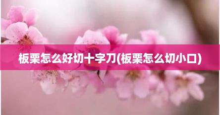 板栗怎么好切十字刀(板栗怎么切小口)