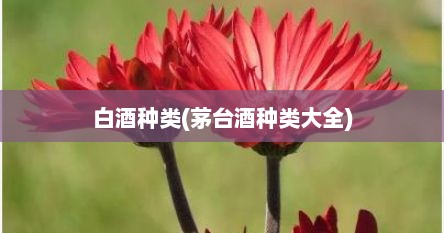 白酒种类(茅台酒种类大全)