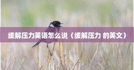 缓解压力英语怎么说（缓解压力 的英文）