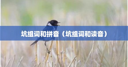 坑组词和拼音（坑组词和读音）