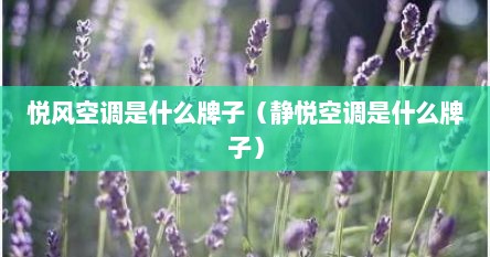 悦风空调是什么牌子（静悦空调是什么牌子）