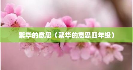 繁华的意思（繁华的意思四年级）
