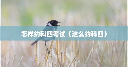 怎样约科四考试（这么约科四）