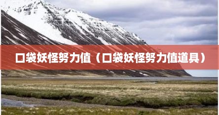 口袋妖怪努力值（口袋妖怪努力值道具）