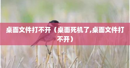 桌面文件打不开（桌面死机了,桌面文件打不开）