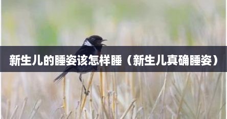 新生儿的睡姿该怎样睡（新生儿真确睡姿）