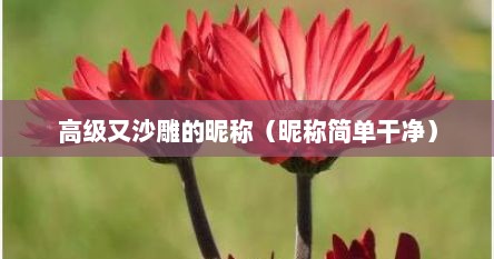 高级又沙雕的昵称（昵称简单干净）