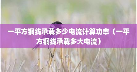 一平方铜线承载多少电流计算功率（一平方铜线承载多大电流）