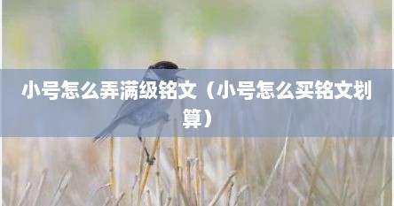 小号怎么弄满级铭文（小号怎么买铭文划算）