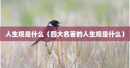 人生观是什么（四大名著的人生观是什么）