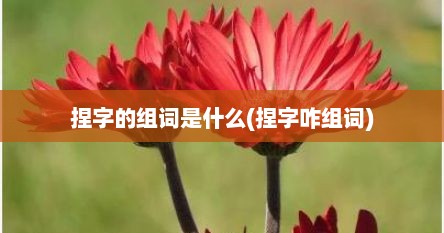 捏字的组词是什么(捏字咋组词)