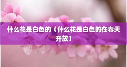什么花是白色的（什么花是白色的在春天开放）