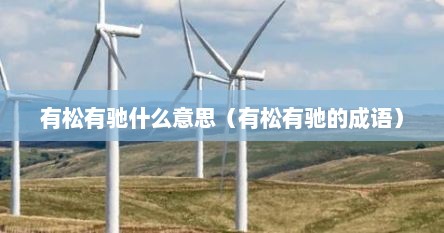 有松有驰什么意思（有松有驰的成语）