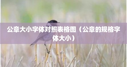 公章大小字体对照表格图（公章的规格字体大小）