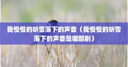 我慢慢的听雪落下的声音（我慢慢的听雪落下的声音是哪部剧）