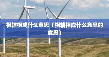 相辅相成什么意思（相辅相成什么意思的意思）