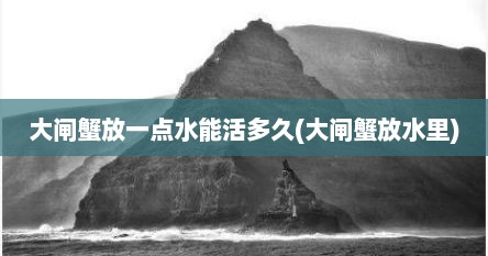 大闸蟹放一点水能活多久(大闸蟹放水里)