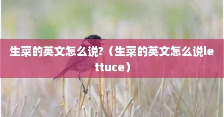 生菜的英文怎么说?（生菜的英文怎么说lettuce）
