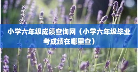 小学六年级成绩查询网（小学六年级毕业考成绩在哪里查）