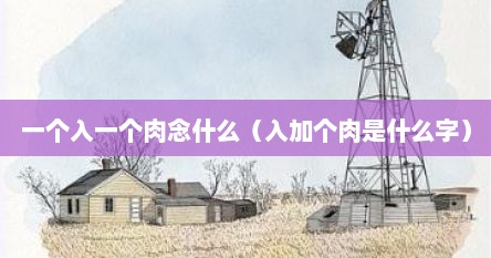 一个入一个肉念什么（入加个肉是什么字）