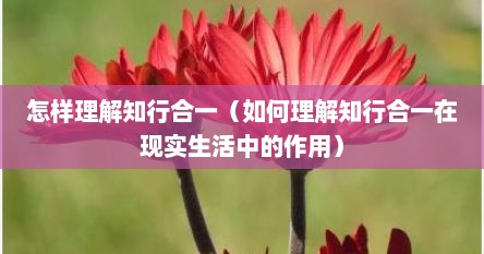 怎样理解知行合一（如何理解知行合一在现实生活中的作用）