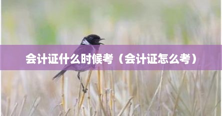 会计证什么时候考（会计证怎么考）