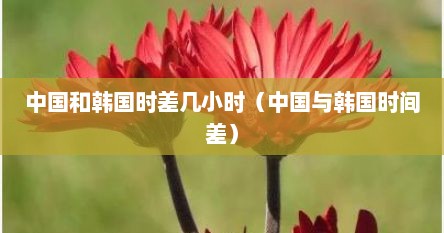 中国和韩国时差几个小时（中国与韩国时间的时差多少）