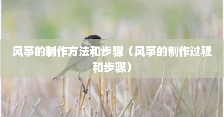 风筝的制作步骤,每一步怎么做的（风筝的制作技巧）