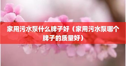 家用污水泵什么牌子好（家用污水泵哪个牌子的质量好）