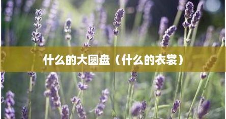 什么的大圆盘（什么的衣裳）