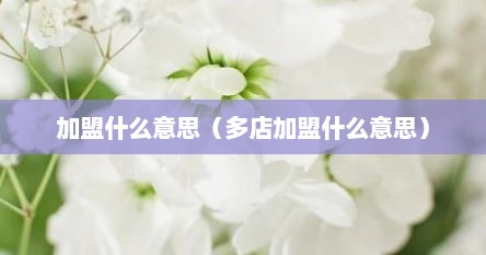加盟什么意思（多店加盟什么意思）