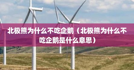 北极熊为什么不吃企鹅（北极熊为什么不吃企鹅是什么意思）