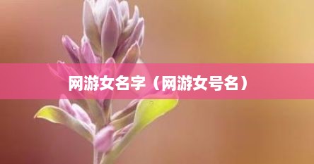网游女名字（网游女号名）