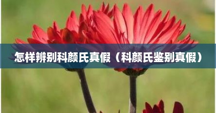 怎样辨别科颜氏真假（科颜氏鉴别真假）