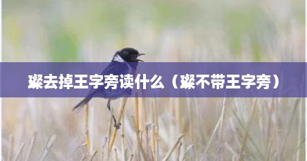 璨去掉王字旁读什么（璨不带王字旁）