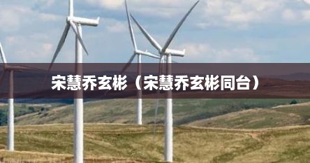 宋慧乔玄彬（宋慧乔玄彬同台）