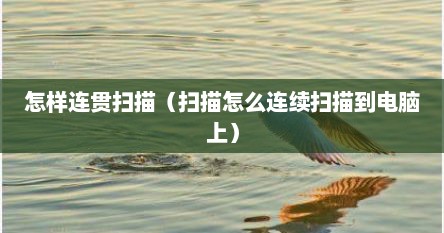 怎样连贯扫描（扫描怎么连续扫描到电脑上）
