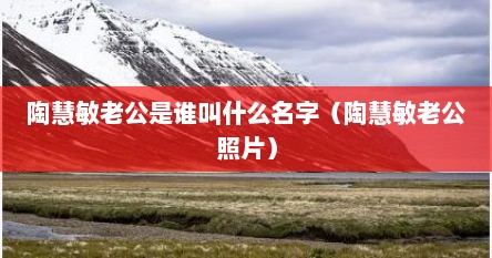 陶慧敏老公是谁叫什么名字（陶慧敏老公照片）